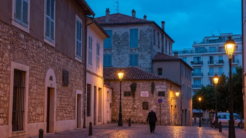 Histoire et patrimoine de Nice Lingostière